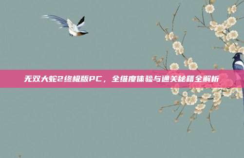 无双大蛇2终极版PC,全维度体验与通关秘籍全解析