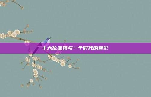 十六位密码与一个时代的背影