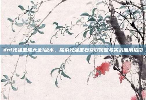 dnf光强宝珠大全1版本，探索光强宝石获取策略与实战应用指南