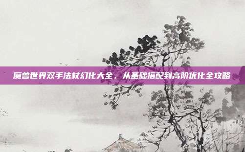 魔兽世界双手法杖幻化大全,从基础搭配到高阶优化全攻略