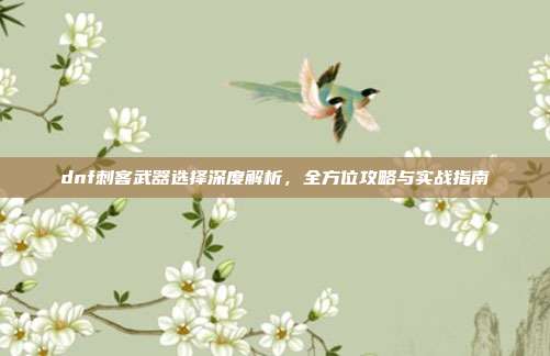 dnf刺客武器选择深度解析,全方位攻略与实战指南