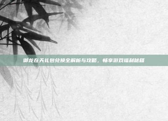 御龙在天礼包兑换全解析与攻略,畅享游戏福利秘籍