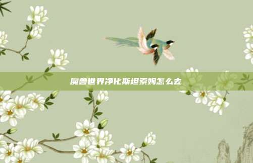 魔兽世界净化斯坦索姆怎么去