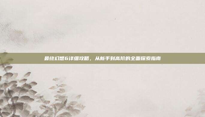 最终幻想6详细攻略,从新手到高阶的全面探索指南