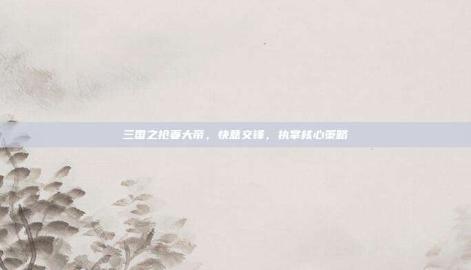 三国之抢妻大帝，快意交锋，执掌核心策略