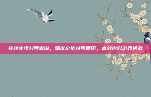 穿越火线封号查询,精准定位封号原因,高效应对游戏挑战