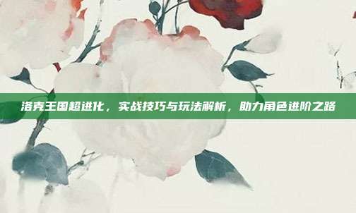 洛克王国超进化,实战技巧与玩法解析,助力角色进阶之路