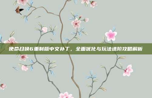 使命召唤6重制版中文补丁，全面优化与玩法进阶攻略解析