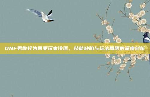 DNF男散打为何受玩家冷落,技能缺陷与玩法局限的深度剖析