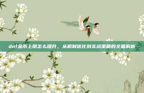 dnf金币上限怎么提升,从机制优化到实战策略的全面解析