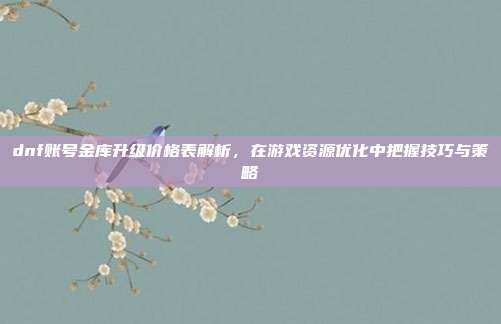 dnf账号金库升级价格表解析,在游戏资源优化中把握技巧与策略