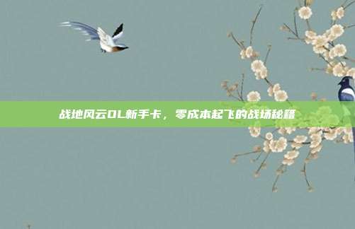 战地风云OL新手卡,零成本起飞的战场秘籍