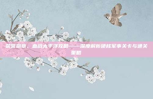 荣誉勋章，血战太平洋攻略——深度解析硬核军事关卡与通关策略