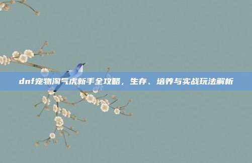 dnf宠物淘气虎新手全攻略,生存、培养与实战玩法解析