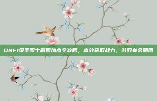 DNF1级圣骑士刷图加点全攻略，高效获取战力，游刃有余刷图