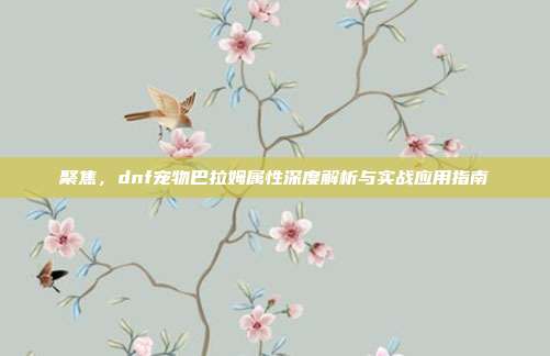 聚焦,dnf宠物巴拉姆属性深度解析与实战应用指南