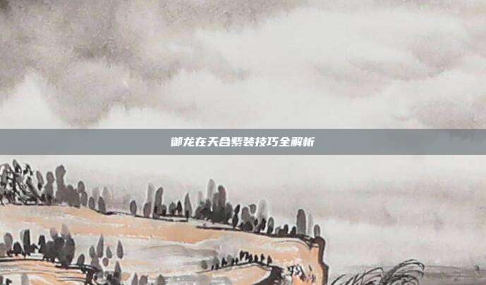 御龙在天合紫装技巧全解析