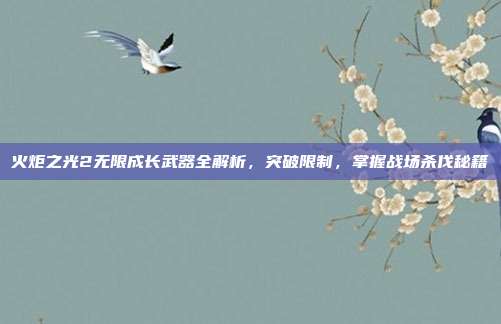 火炬之光2无限成长武器全解析，突破限制，掌握战场杀伐秘籍