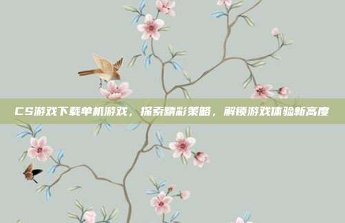 CS游戏下载单机游戏,探索精彩策略,解锁游戏体验新高度