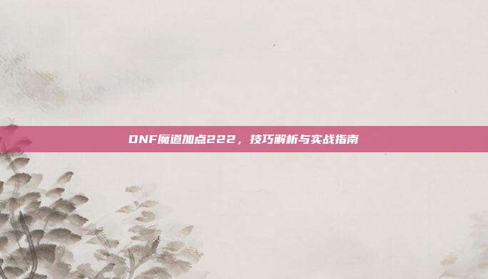 DNF魔道加点222，技巧解析与实战指南