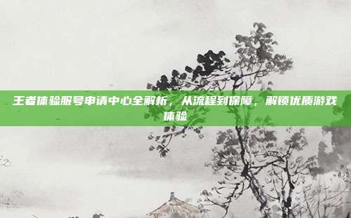 王者体验服号申请中心全解析，从流程到保障，解锁优质游戏体验
