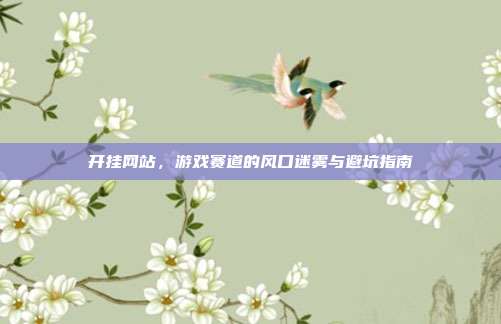开挂网站,游戏赛道的风口迷雾与避坑指南