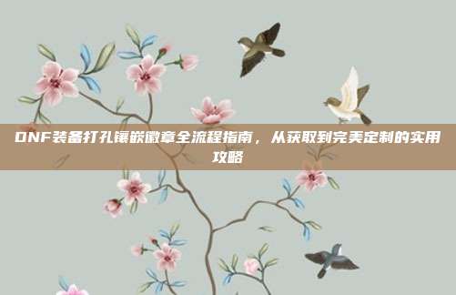 DNF装备打孔镶嵌徽章全流程指南,从获取到完美定制的实用攻略
