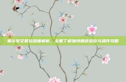 赛尔号艾夏拉深度解析,全面了解独特角色定位与操作攻略
