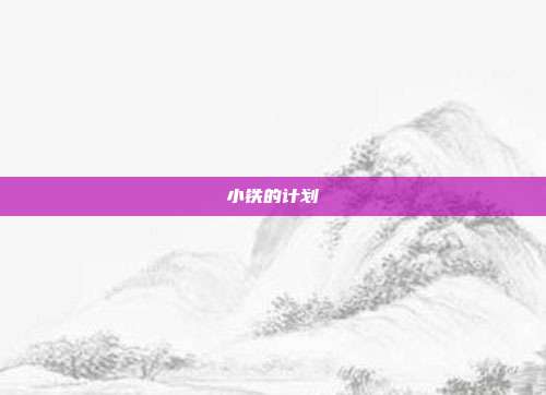小铁的计划