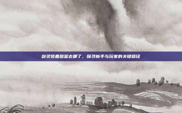 剑灵装备图鉴去哪了,探寻新手与玩家的关键路径