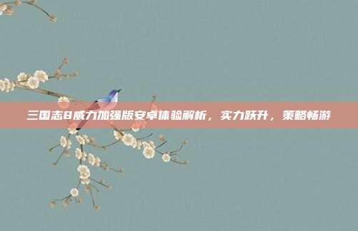 三国志8威力加强版安卓体验解析,实力跃升,策略畅游