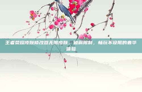 王者荣耀皮肤修改器无限皮肤,破解限制,畅玩不设限的奢华体验