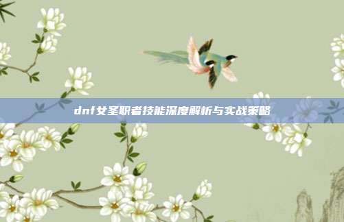 dnf女圣职者技能深度解析与实战策略