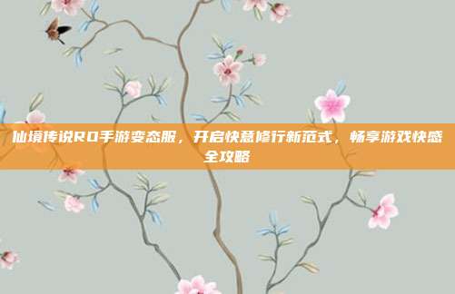 仙境传说RO手游变态服,开启快意修行新范式,畅享游戏快感全攻略