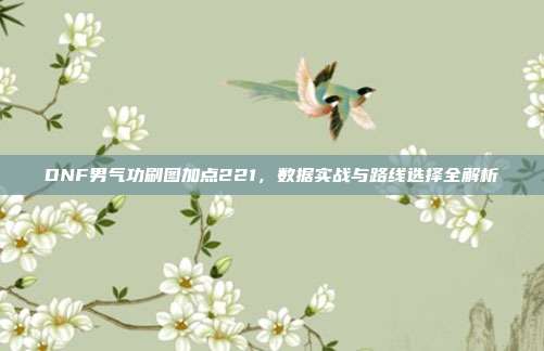 DNF男气功刷图加点221,数据实战与路线选择全解析