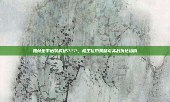 麦林炮手出装解析222,枪王进阶策略与实战优化指南