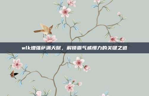 wlk增强萨满天赋,解锁霸气威慑力的关键之道