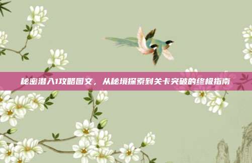 秘密潜入1攻略图文,从秘境探索到关卡突破的终极指南
