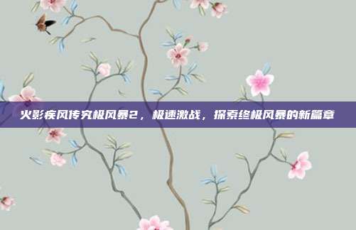 火影疾风传究极风暴2,极速激战,探索终极风暴的新篇章