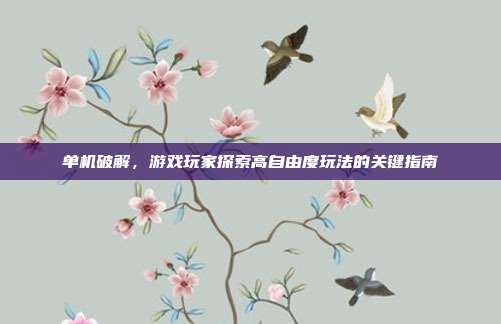 单机破解，游戏玩家探索高自由度玩法的关键指南