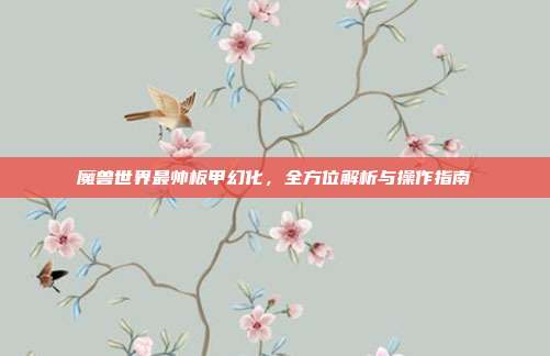 魔兽世界最帅板甲幻化,全方位解析与操作指南