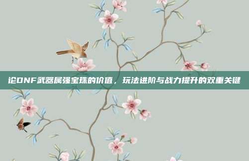 论DNF武器属强宝珠的价值,玩法进阶与战力提升的双重关键