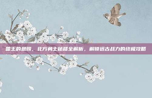 国王的恩赐,北方勇士秘籍全解析,解锁远古战力的终极攻略