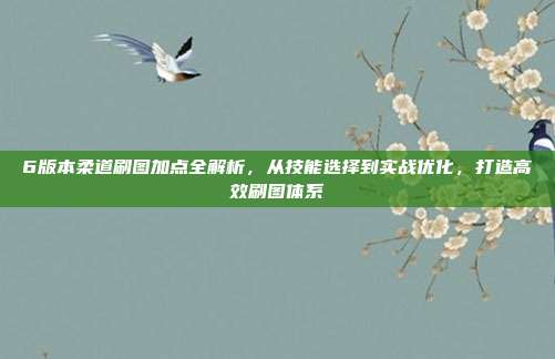 6版本柔道刷图加点全解析,从技能选择到实战优化,打造高效刷图体系