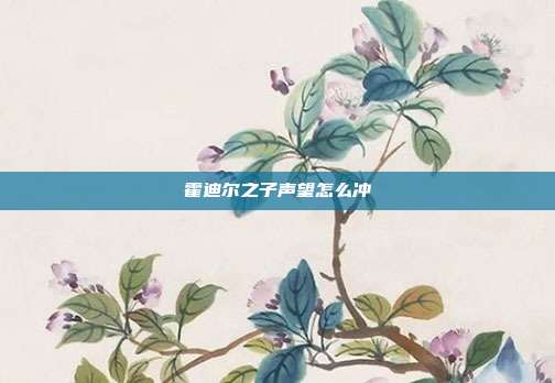 霍迪尔之子声望怎么冲