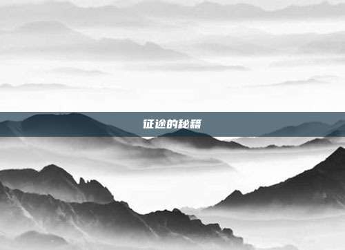 征途的秘籍