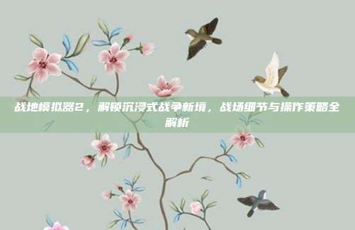 战地模拟器2,解锁沉浸式战争新境,战场细节与操作策略全解析