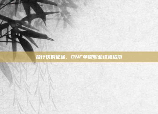 独行侠的征途，DNF单刷职业终极指南