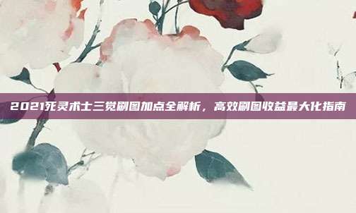 2021死灵术士三觉刷图加点全解析,高效刷图收益最大化指南