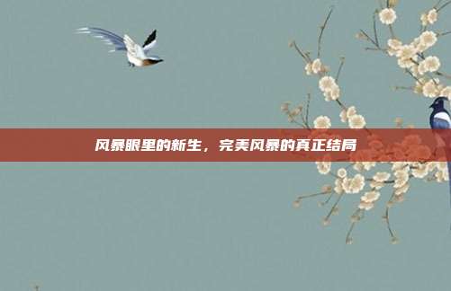 风暴眼里的新生，完美风暴的真正结局